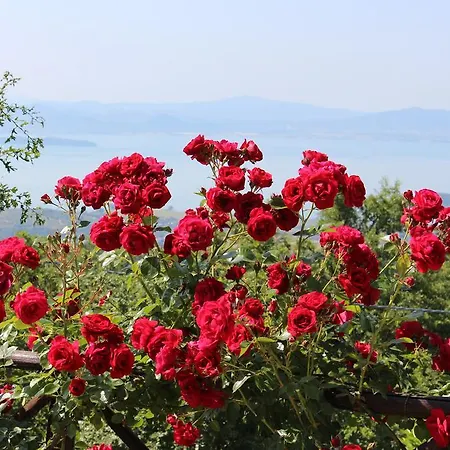La Finestra Sul Lago בית נופש